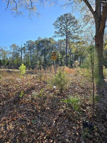 0 Lot 7 Popular Street Cayce SC 29033
