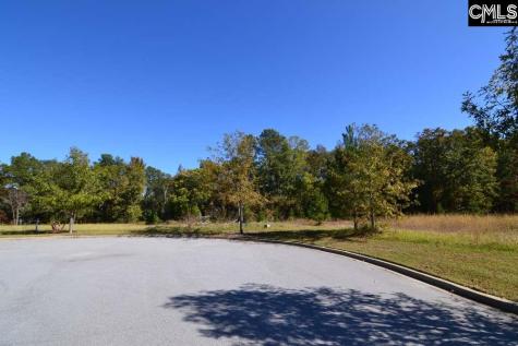 10 Blythe View Court 13 Blythewood SC 29016