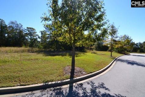 10 Blythe View Court 13 Blythewood SC 29016