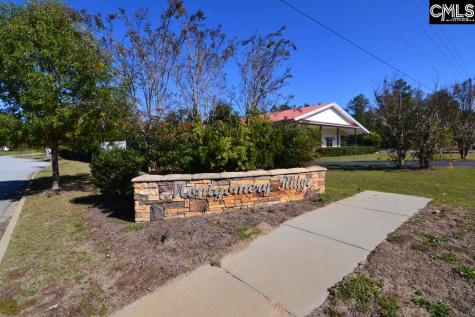10 Blythe View Court 13 Blythewood SC 29016