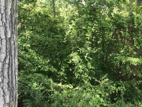 4910 Woodbrier Street Columbia SC 29203