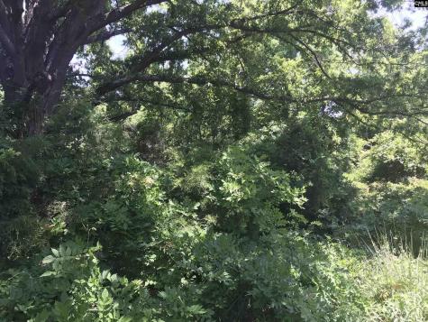 4910 Woodbrier Street Columbia SC 29203