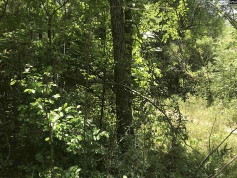 4910 Woodbrier Street Columbia SC 29203