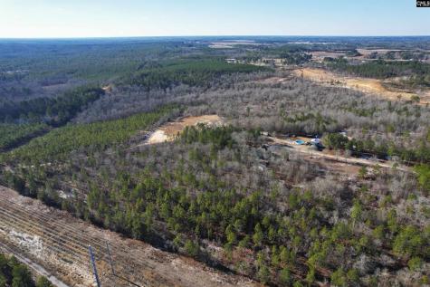 1446 Mack Street Gaston SC 29053