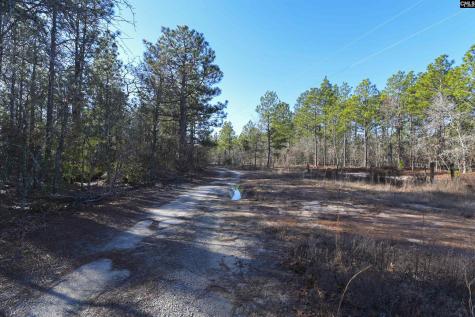 1446 Mack Street Gaston SC 29053