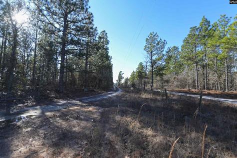 1446 Mack Street Gaston SC 29053