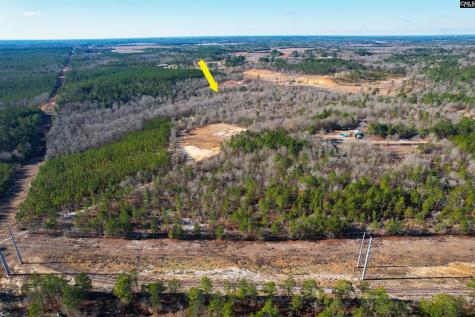 1446 Mack Street Gaston SC 29053