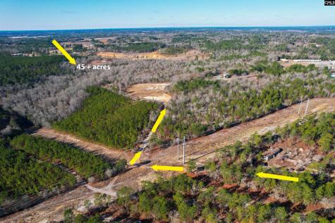 1446 Mack Street Gaston SC 29053