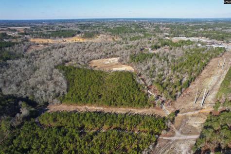 1446 Mack Street Gaston SC 29053