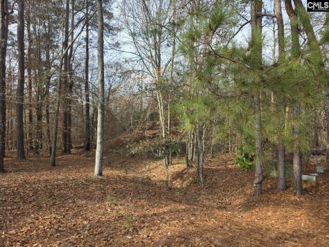 142 Orange Parish Street Orangeburg SC 29118