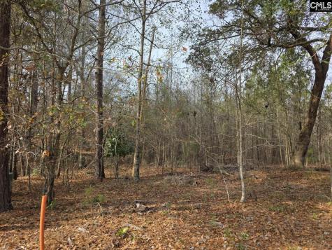 142 Orange Parish Street Orangeburg SC 29118