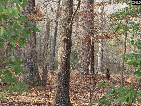 142 Orange Parish Street Orangeburg SC 29118