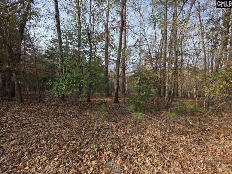 142 Orange Parish Street Orangeburg SC 29118