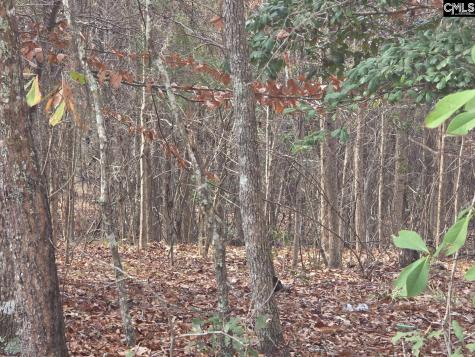 142 Orange Parish Street Orangeburg SC 29118