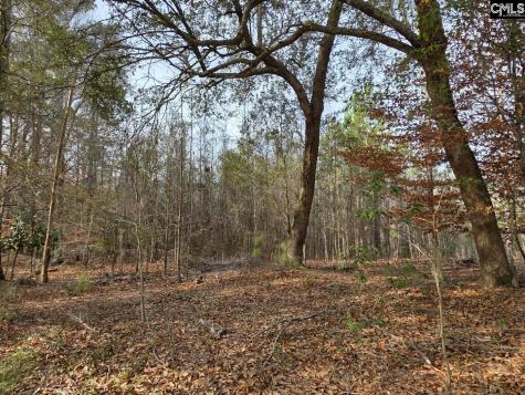 142 Orange Parish Street Orangeburg SC 29118