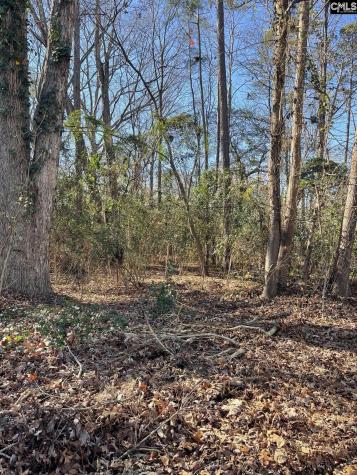 18 Crescent Lane Irmo SC 29212