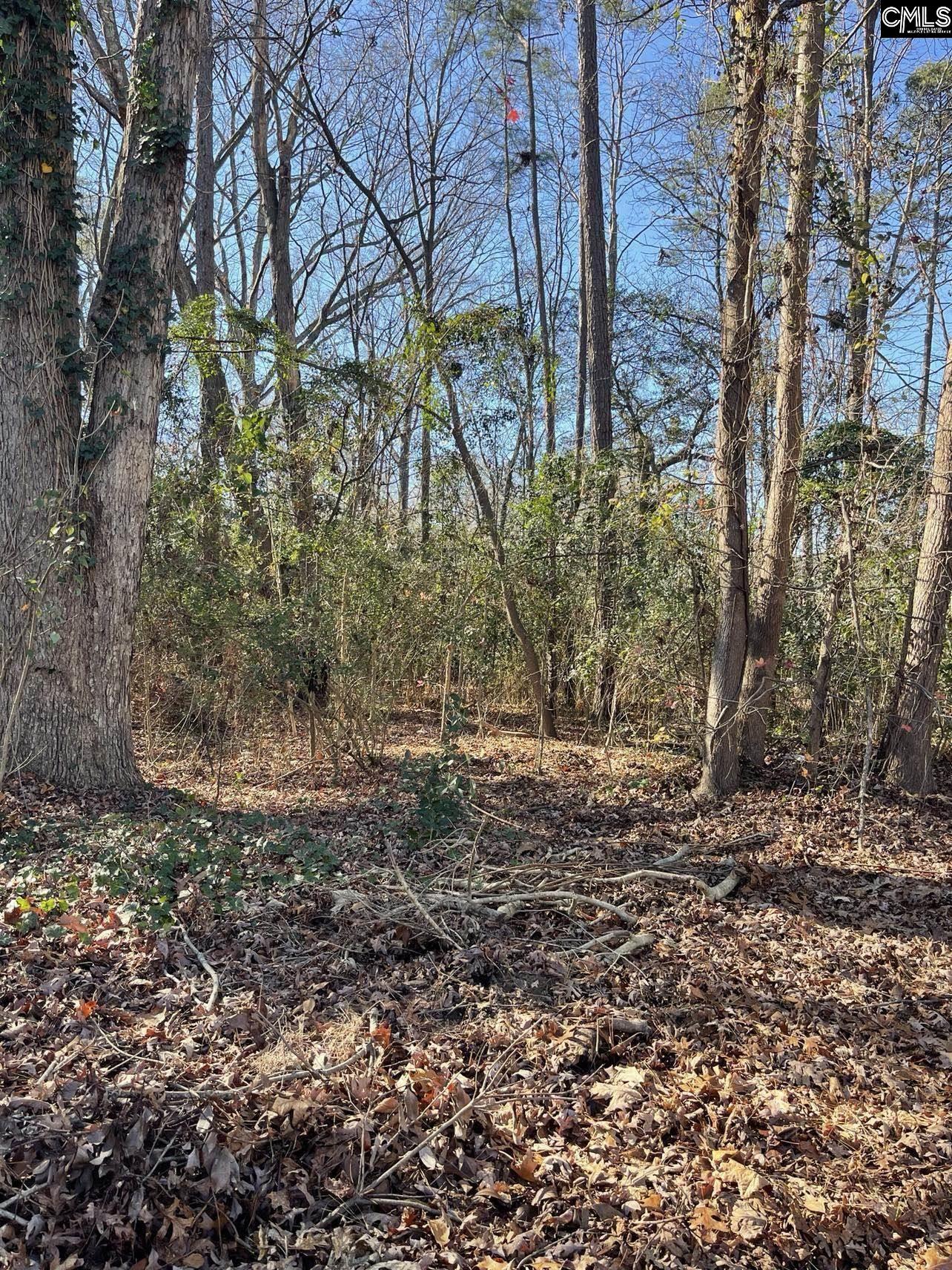 18 Crescent Lane Irmo SC 29212