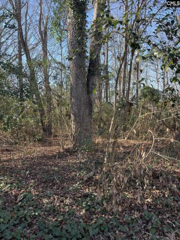 18 Crescent Lane Irmo SC 29212