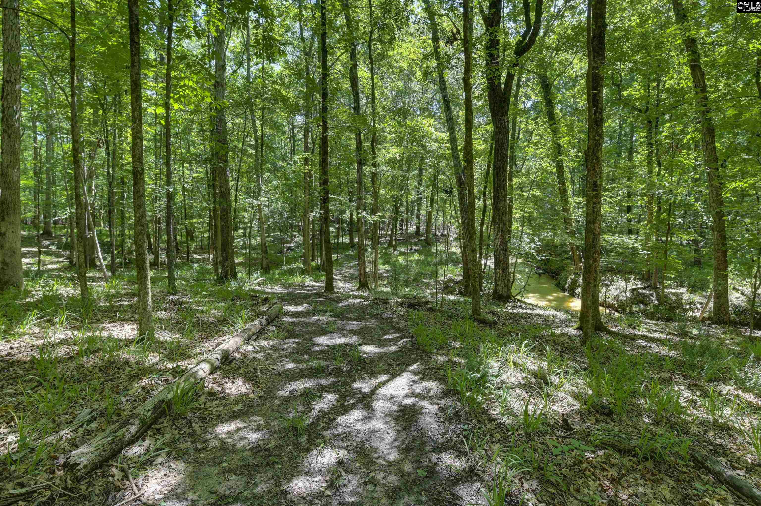 Bright Myers Road Blythewood SC 29016
