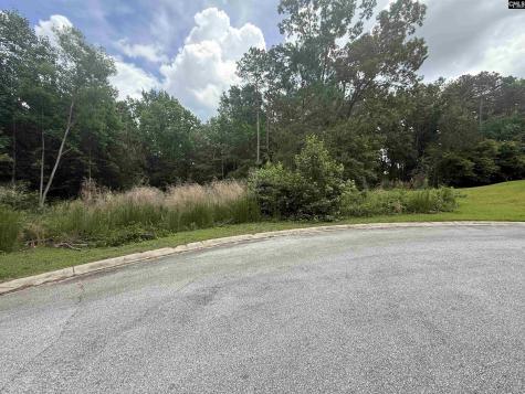 243 Fair Ridge Lane Blythewood SC 29016