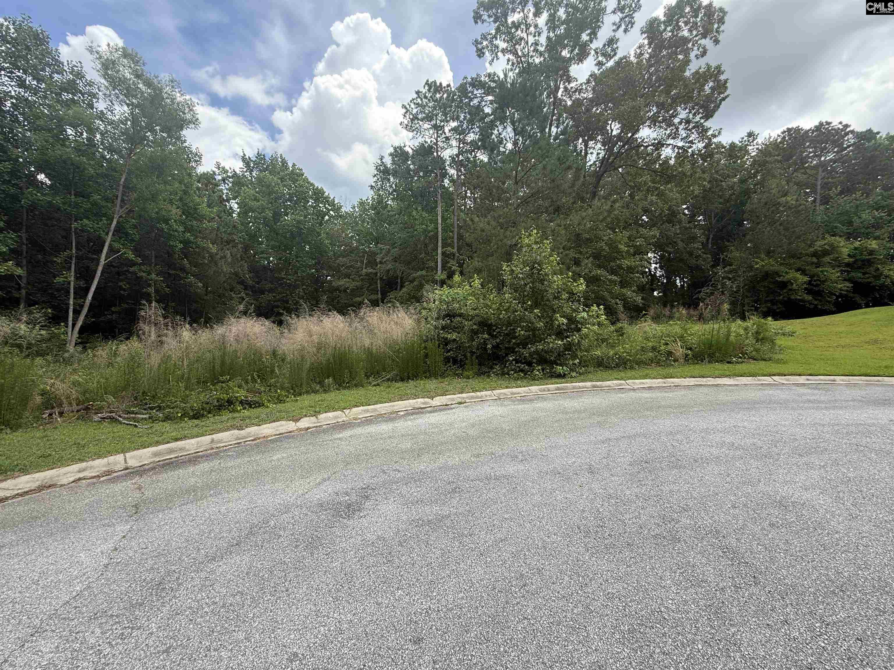 243 Fair Ridge Lane Blythewood SC 29016