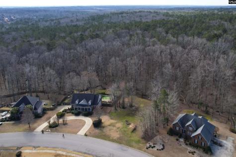 228 Winding Oak Way Blythewood SC 29016
