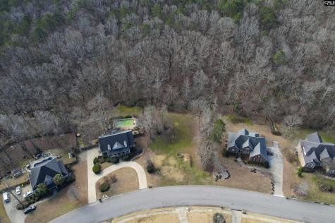 228 Winding Oak Way Blythewood SC 29016