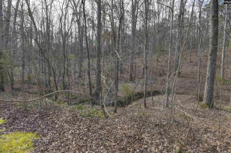 228 Winding Oak Way Blythewood SC 29016