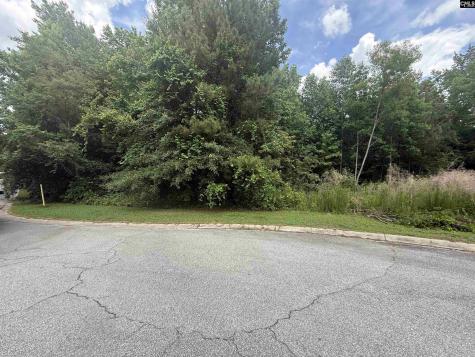 239 Fair Ridge Lane Blythewood SC 29016