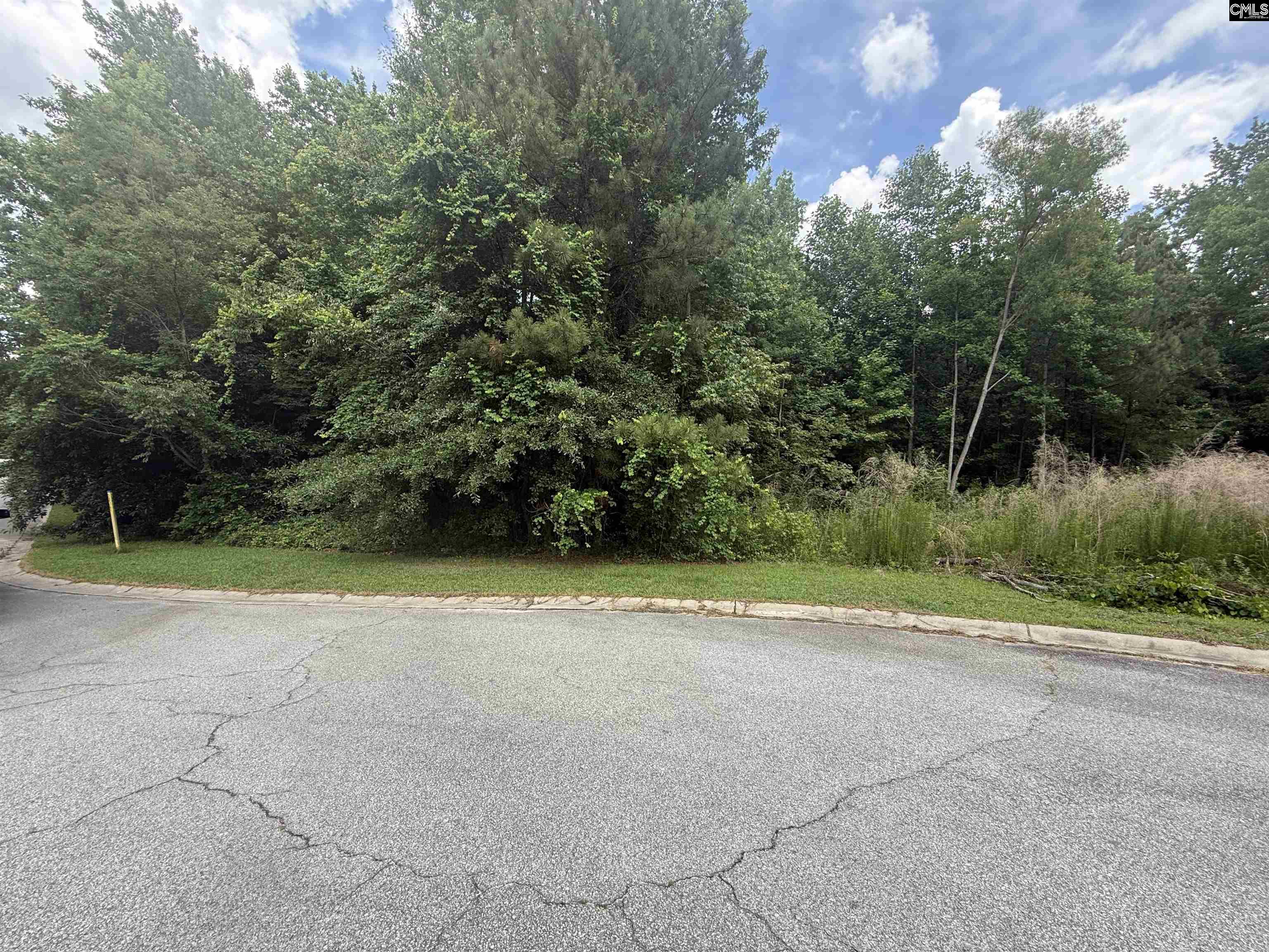239 Fair Ridge Lane Blythewood SC 29016
