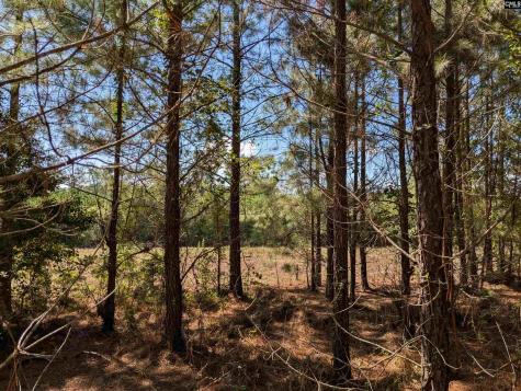 0 Campground Road Columbia SC 29203