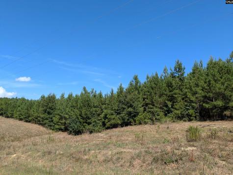 0 Campground Road Columbia SC 29203