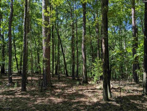 0 Campground Road Columbia SC 29203