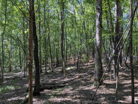 0 Campground Road Columbia SC 29203