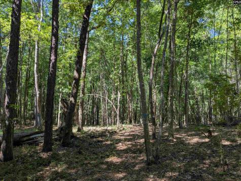 0 Campground Road Columbia SC 29203