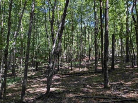 0 Campground Road Columbia SC 29203