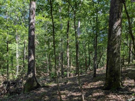 0 Campground Road Columbia SC 29203