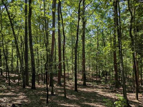 0 Campground Road Columbia SC 29203