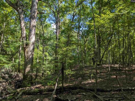 0 Campground Road Columbia SC 29203