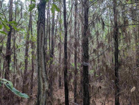 0 Campground Road Columbia SC 29203