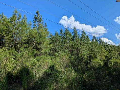 0 Campground Road Columbia SC 29203
