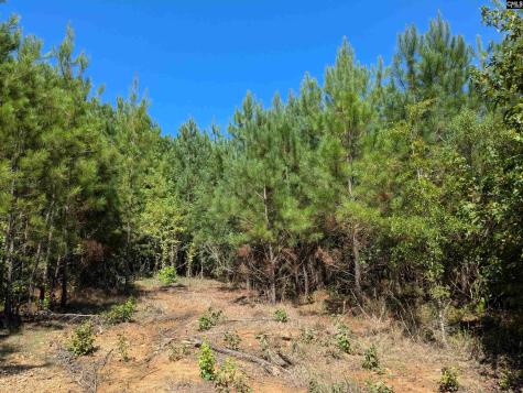0 Campground Road Columbia SC 29203