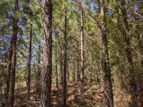 0 Campground Road Columbia SC 29203