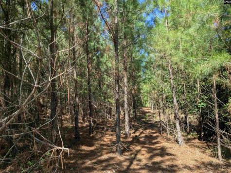 0 Campground Road Columbia SC 29203