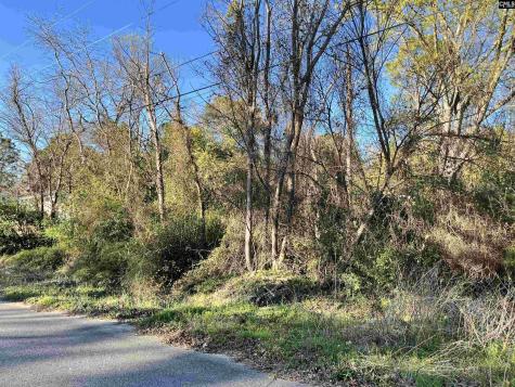 00 Greenleaf Road Hartsville SC 29550