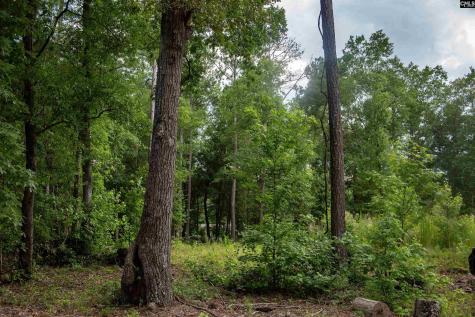 105 Dunwoody Place Blythewood SC 29016-8452