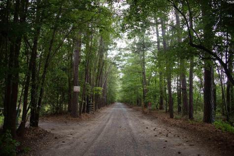 105 Dunwoody Place Blythewood SC 29016-8452