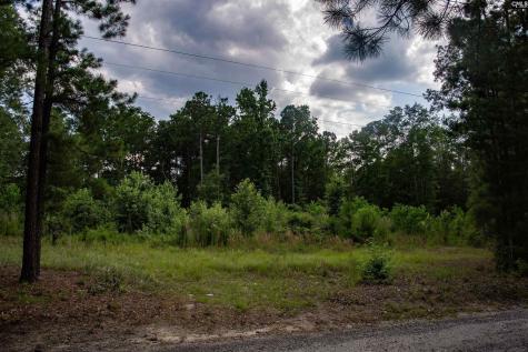 105 Dunwoody Place Blythewood SC 29016-8452