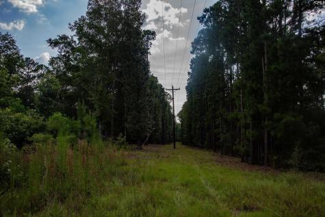 105 Dunwoody Place Blythewood SC 29016-8452