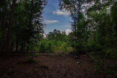 105 Dunwoody Place Blythewood SC 29016-8452